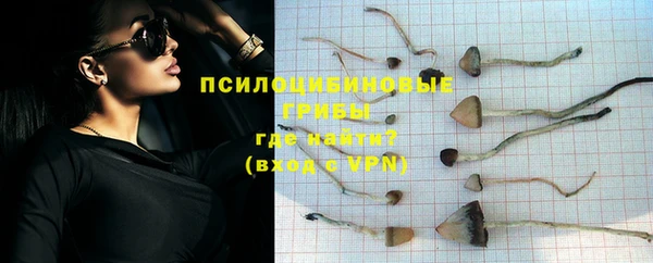 бутират Арсеньев