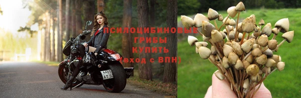 спайс Балабаново