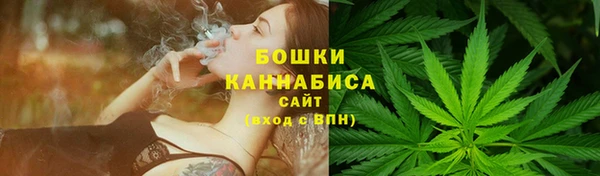 прущие грибы Нягань