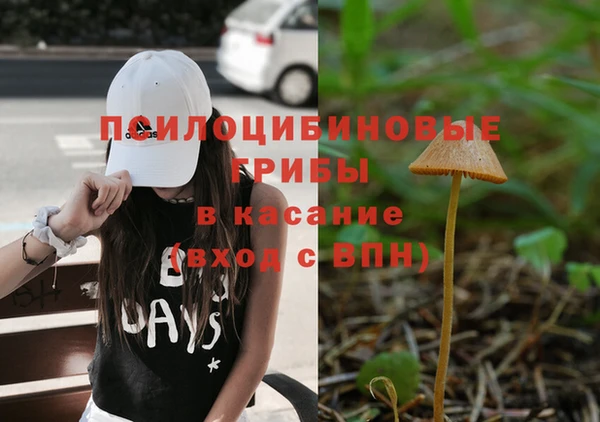 спайс Балабаново