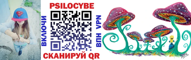 ОМГ ОМГ как зайти  купить наркотик  Кяхта  Псилоцибиновые грибы Cubensis 